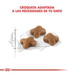 Alimento-Royal-Canin-CatVet-Kitten-36-15-Kg