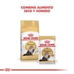 Pouch-Royal-Canin-Persian-para-Gato-85-Gr