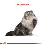 Pouch-Royal-Canin-Persian-para-Gato-85-Gr