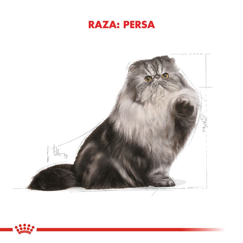 Pouch-Royal-Canin-Persian-para-Gato-85-Gr
