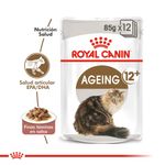 Royal-Canin-Catpouch-Ageing-12--85-Gr