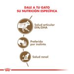 Royal-Canin-Catpouch-Ageing-12--85-Gr