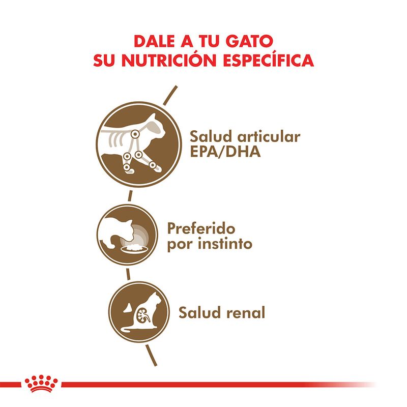 Royal-Canin-Catpouch-Ageing-12--85-Gr