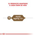 Royal-Canin-Catpouch-Ageing-12--85-Gr