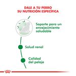 Pouch-Royal-Canin-para-Perro-Mini-Ageing-12--85-Gr