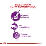 Alimento-Royal-Canin-Cat-Sensible-33-15-Kg