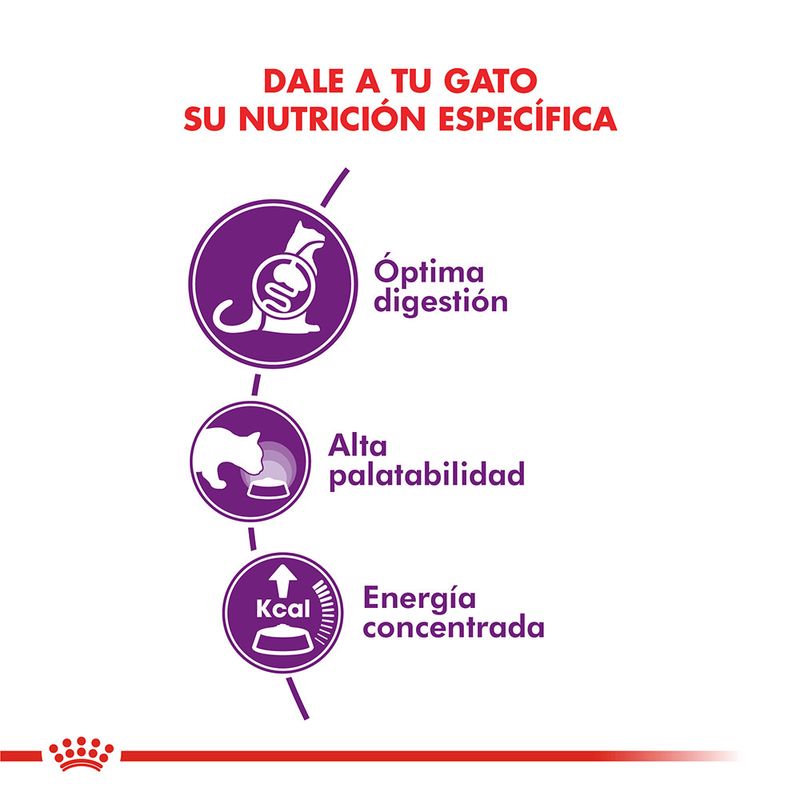 Alimento-Royal-Canin-Cat-Sensible-33-15-Kg