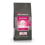 Club-Performance-Cachorro-15-Kg