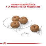 Alimento-Royal-Canin-Care-Nutrition-Mini-Castrado-3-Kg