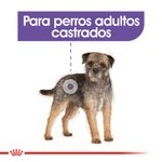Pouch-Royal-Canin-Canine-Care-Nutrition-Castrados-85-Gr