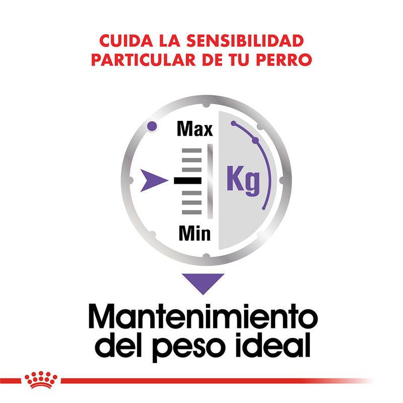 Pouch-Royal-Canin-Canine-Care-Nutrition-Castrados-85-Gr