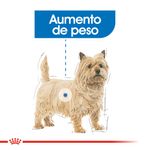 Pouch-Royal-Canin-Canine-Care-Nutrition-Weight-Care-85-Gr