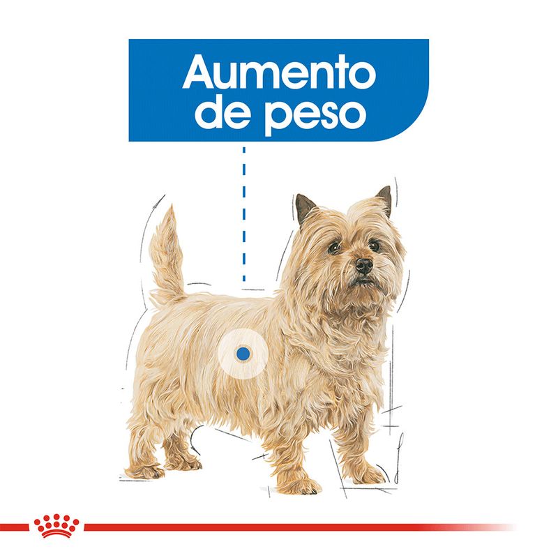 Pouch-Royal-Canin-Canine-Care-Nutrition-Weight-Care-85-Gr