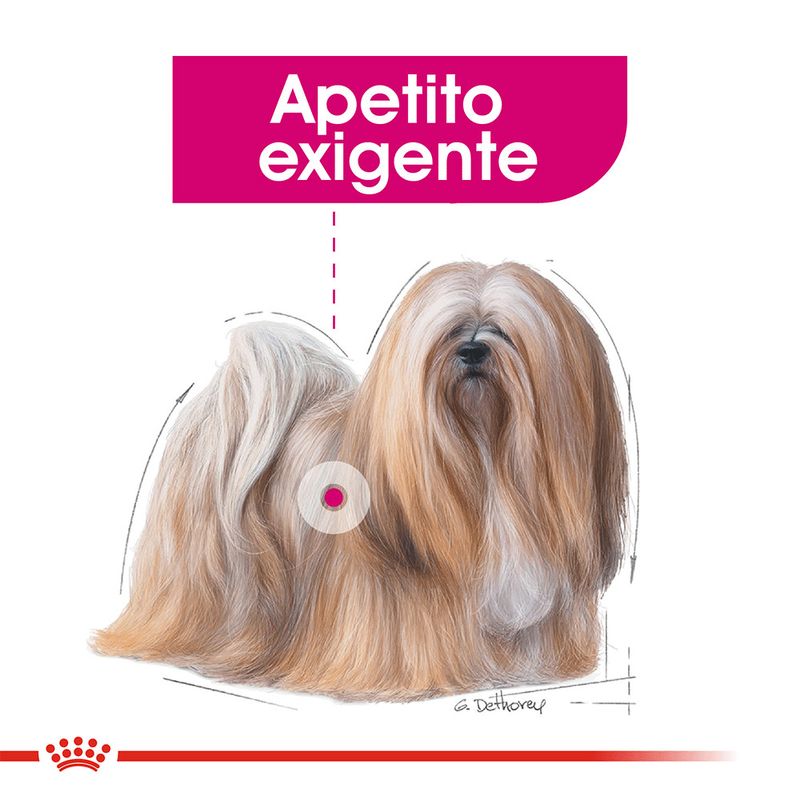 Alimento-Royal-Canin-Care-Nutrition-Mini-Exigent-3-Kg