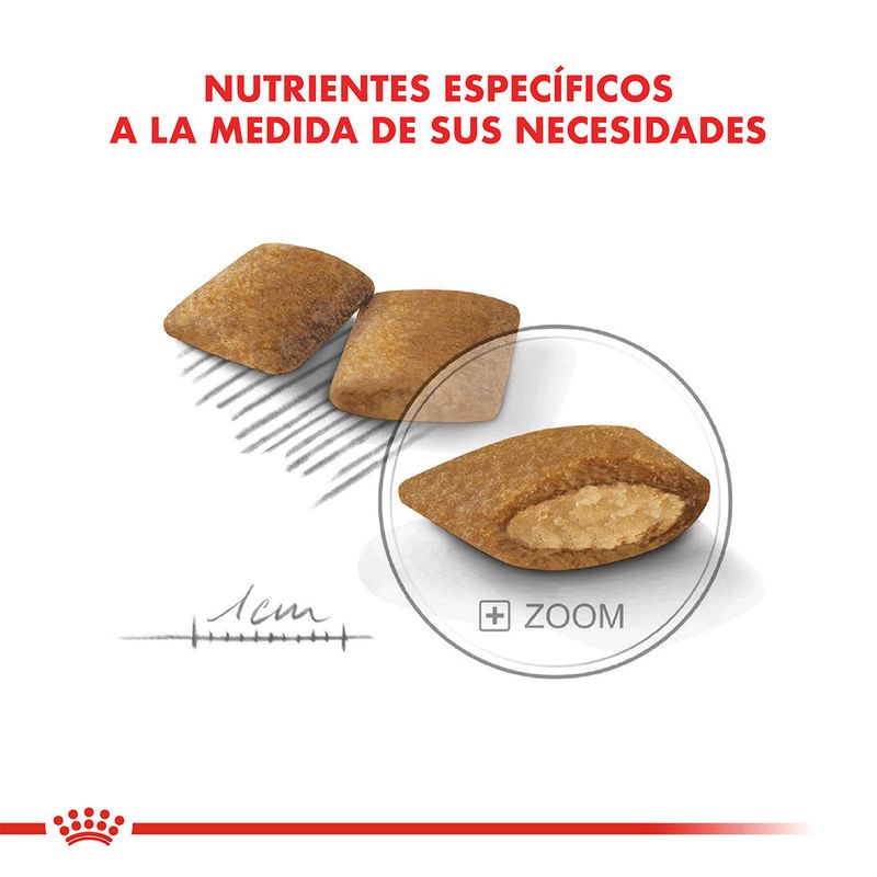 Alimento-Royal-Canin-Care-Nutrition-Mini-Exigent-3-Kg