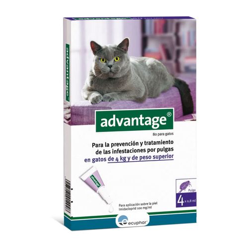 Pipeta Advantage G para Gatos