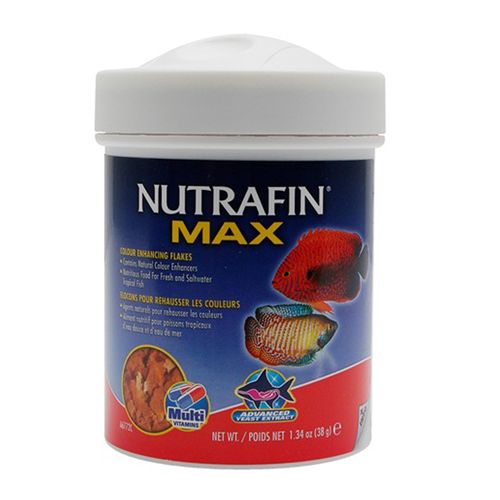 Alimento en escamas Nutrafin Max Tropicales