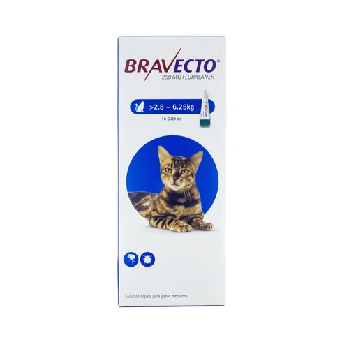 Bravecto Spot On Gatos