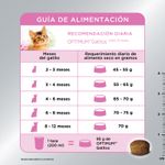 Alimento-Optimum-Kitten-1kg