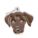 Chapita-My-Family-Friends-Labrador-Marron