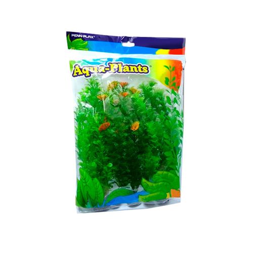 Planta Pennplax Aqua