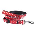 Correa-Disney-Minnie-S