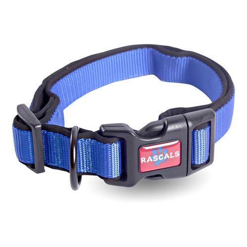 Collar Rascals Acolchonado Azul
