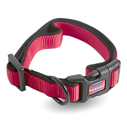 Collar Rascals Acolchonado Rojo