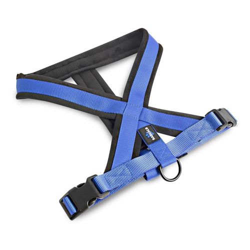 Arnes Rascals Acolchado Azul