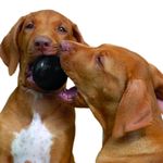 Pelota-Kong-Extreme-L