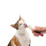 Snack-Catit-Creamy-Pollo-10gr-92