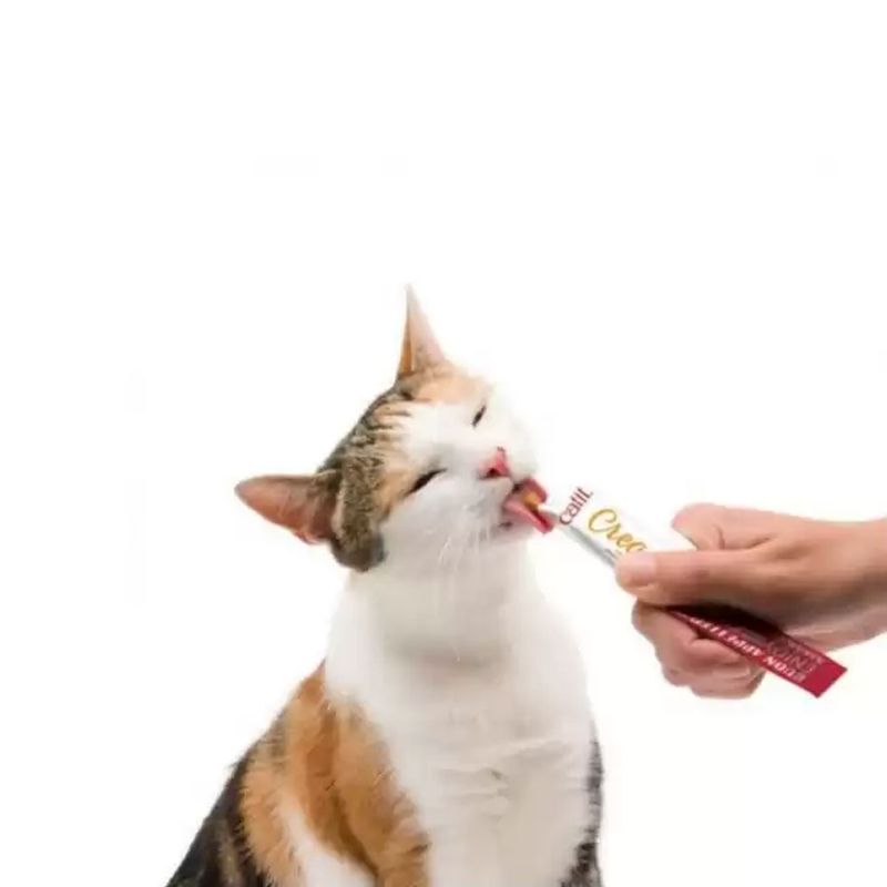 Snack-Catit-Creamy-Salmon-10gr-93