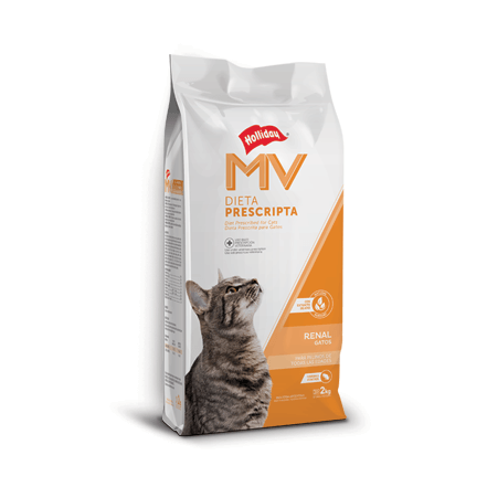 Mv gato Renal