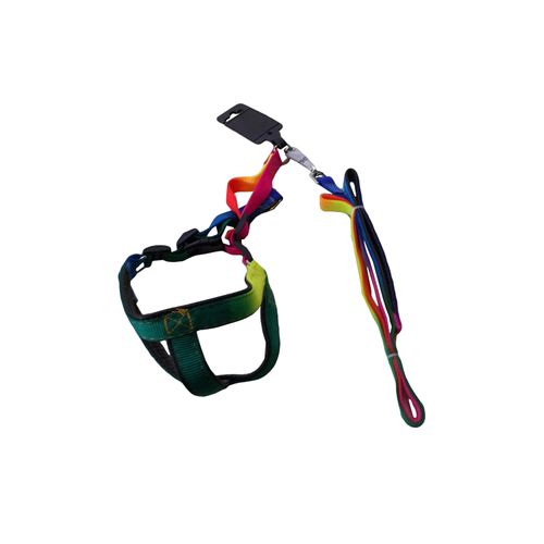 Arnes y Correa Animal Pet Multicolor