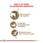 Alimento-Royal-Canin-Cat-Ageing--12-para-Gato-2-Kg-foto-3.jpg
