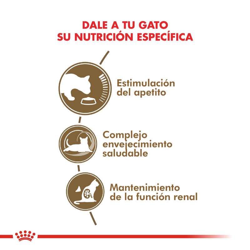 Alimento-Royal-Canin-Cat-Ageing--12-para-Gato-2-Kg-foto-3.jpg