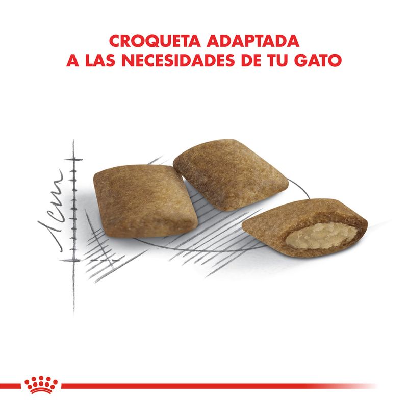 Alimento-Royal-Canin-Cat-Ageing--12-para-Gato-2-Kg-foto-5.jpg