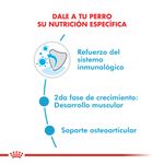 Alimento-Royal-Canin-para-Perro-Giant-Junior-15-Kg-foto-3.jpg