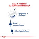 Alimento-Royal-Canin-para-Perro-Maxi-Adulto--5-15-Kg-foto-3.jpg