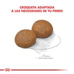 Alimento-Royal-Canin-para-Perro-Maxi-Adulto--5-15-Kg-foto-5.jpg