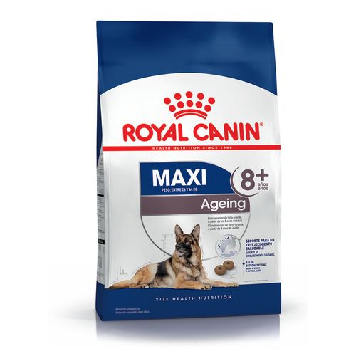 Alimento Royal Canin para Perro Maxi Ageing +8