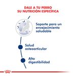 Alimento-Royal-Canin-para-Perro-Maxi-Ageing--8-15-Kg-foto-3.jpg