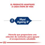 Alimento-Royal-Canin-para-Perro-Maxi-Ageing--8-15-Kg-foto-4.jpg