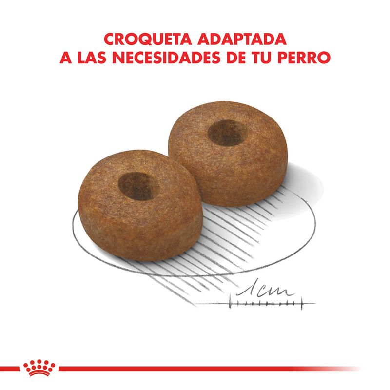 Alimento-Royal-Canin-para-Perro-Maxi-Ageing--8-15-Kg-foto-5.jpg