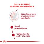 Alimento-Royal-Canin-para-Perro-Medium-Adulto-Ageing--10-15-Kg-foto-3.jpg