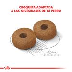 Alimento-Royal-Canin-para-Perro-Medium-Adulto-Ageing--10-15-Kg-foto-5.jpg