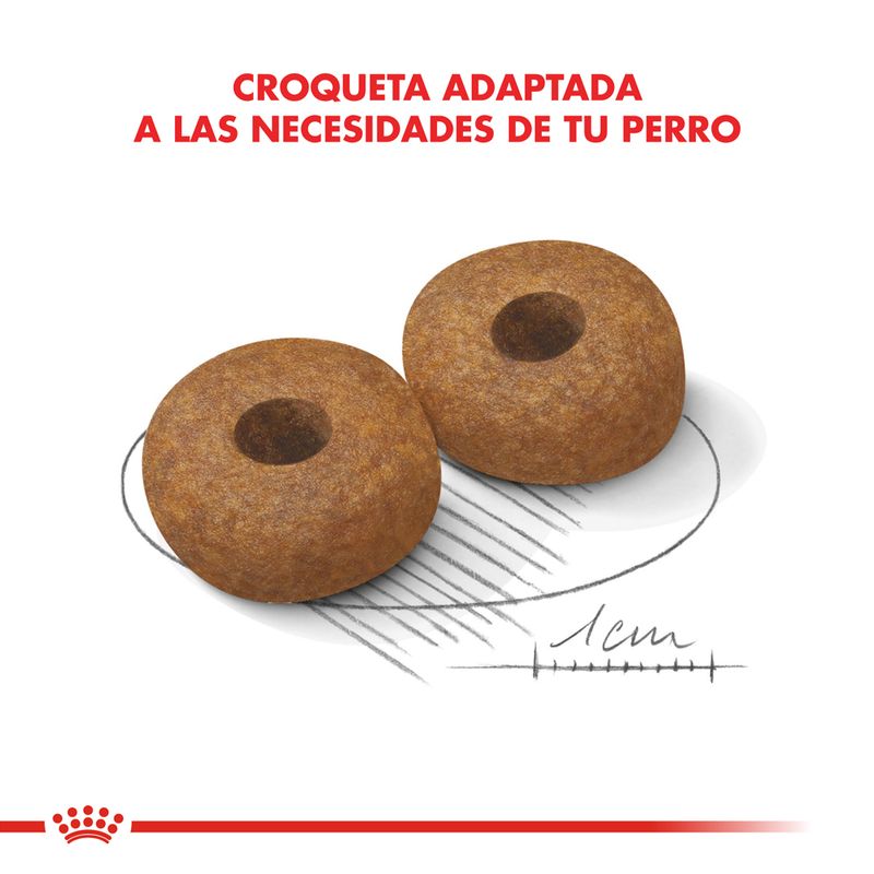 Alimento-Royal-Canin-para-Perro-Medium-Adulto-Ageing--10-15-Kg-foto-5.jpg
