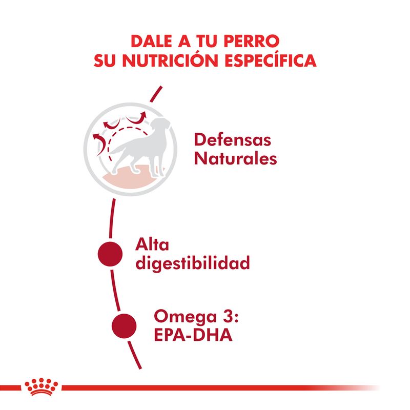 Alimento-Royal-Canin-para-Perro-Medium-Adulto-3-Kg-foto-3.jpg