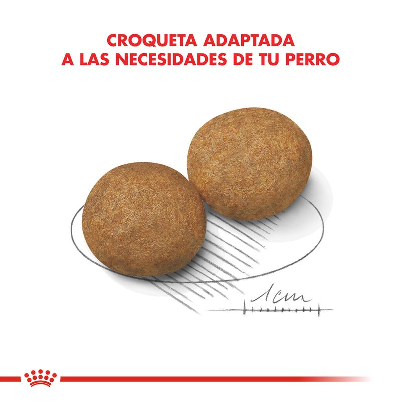 Alimento-Royal-Canin-para-Perro-Medium-Adulto-3-Kg-foto-5.jpg
