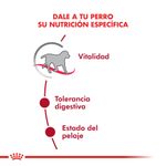 Alimento-Royal-Canin-para-Perro-Medium-Adulto--7-3-Kg-foto-3.jpg